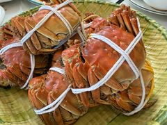 -蟹天蟹地农家菜·阳澄湖大闸蟹(浅水湾店)