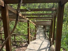-大岭沟猕猴桃谷风景区