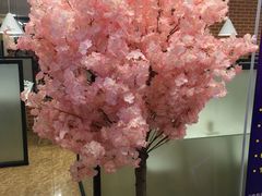 -后宫私房菜(汇客美食娱乐广场店)