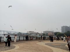 -黑石礁公园