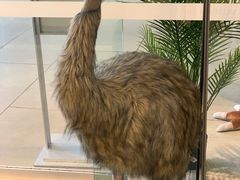 -墨尔本博物馆(Melbourne Museum)