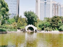 -团结湖公园