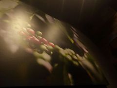 -星巴克(福州大洋百货分店)