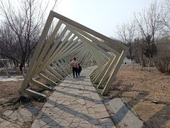 -莫子山公园