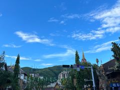 -基诺山寨.版纳民族特色菜