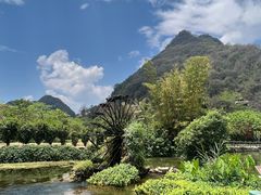 -靖西鹅泉风景区