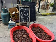 -虾乐园龙虾·夜宵(松江店)