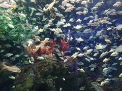 -成都浩海立方海洋公园