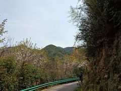 -东海大峡谷