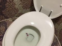 -琥珀咖啡(新南路店)