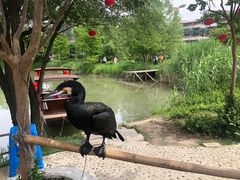 -长兴太湖图影湿地文化园