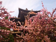 -西安青龙寺遗址景区
