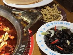 -受气牛肉·重庆耙牛肉(来福士店)