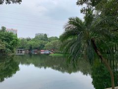 -晓港公园