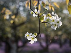 -江苏三台山国家森林公园