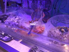 -凤凰岛度假酒店-海鲜自助餐厅