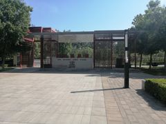 -大望京公园