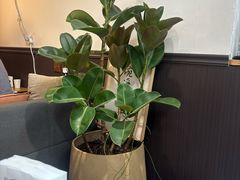 -沏点Trattoria意大利餐厅(新街口店)