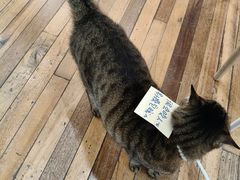 -猫的天空之城概念书店(杭州南宋御街店)