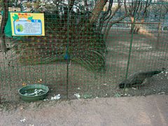 -渔码头食府(蓬莱阁店)