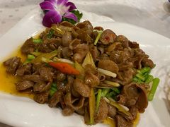 鱼肚顶-四海之家(蛇口店)