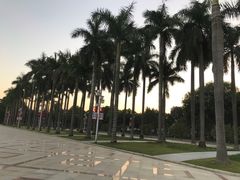 -顺峰山公园