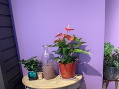 -佳思多食品料理超市(园区店)