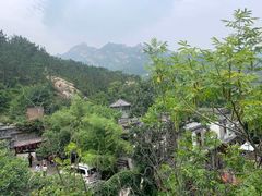 -老张烤羊(王哥庄店)