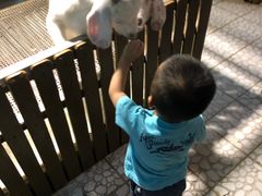 -上海大自然野生昆虫馆(东方明珠·爬宠昆虫探索中心)