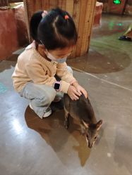 -Zoolung Zoolung动物主题公园(海信广场店)