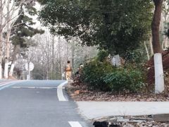 -南京金牛湖风景区