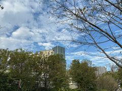 -Wagas沃歌斯(星荟中心店)