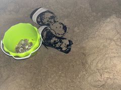 -三亚海棠湾喜来登度假酒店