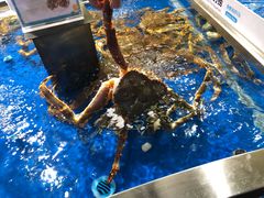 -盒马鲜生(莱蒙都会店)