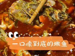 -石锅苗苗鱼(武汉首店)
