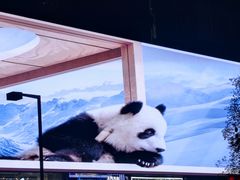 -春熙路步行街