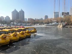 -团结湖公园