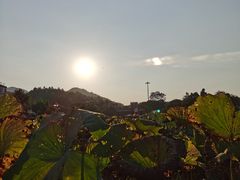 -红山村