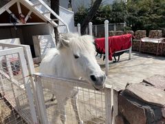 -金庭庄园酒店-停车场