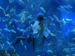 -哈尔滨波塞冬海底世界