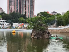 -团结湖公园