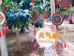 -北戴河集发农业梦想王国
