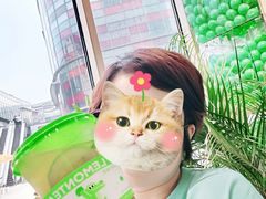 -柠季·手打柠檬茶(梅溪湖新天地外街店)