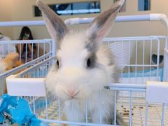 -怪兽屋·羊驼·猫咖·狗咖(俊华广场店)