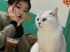 -藏猫猫咖啡主题馆(中央大道店)