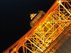 -东京塔海贼王主题公园