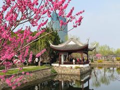 -无锡蠡湖国家湿地公园-蠡园