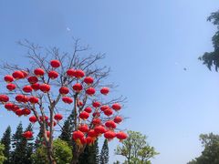 -万绿园