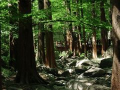 -国家植物园南园