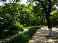 -山东大学(趵突泉校区)